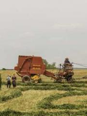 Celestial Eye: Peerl