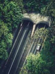 Supreme Young Master Supreme Young Master