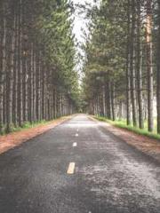 On our wedding night On our wedding night