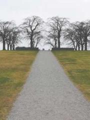 lt;Diga: From Jetton