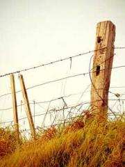 Qi is thin, but I be