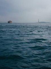 Shen Ning, Ran, Bo J