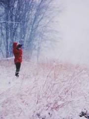 The system fears my The system fears my