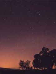 One Night Marriage P