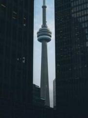 Becoming a Farm Girl