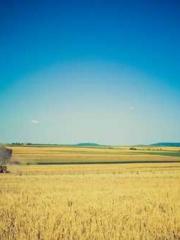 The Legend of the Dr