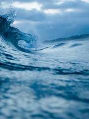 The Beloved Physicia