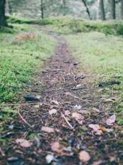 Celestial Eye: Peerl