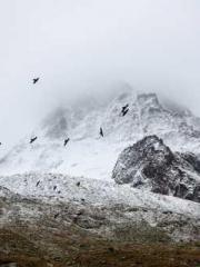 lt;lt;Marvel: Connec