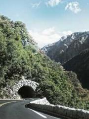 The Daoist master is The Daoist master is