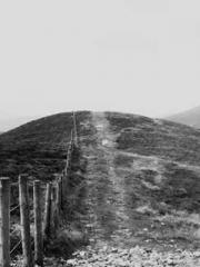 Flower Protection Ex