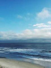 Peach and plum bloss Peach and plum bloss