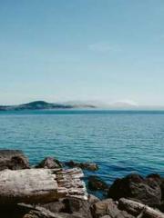 lt;宇宙職業選手gt;Space Pr lt;宇宙職業選手gt;Space Pr