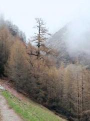 Do not deprive me of