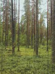 Ling Hao Qin Yu Xin Ling Hao Qin Yu Xin