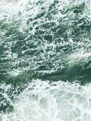 Bodhisattva of Compa