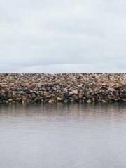 Perfect Supreme Perfect Supreme