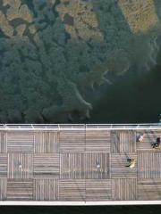 Meng Jinyu Gu Jingxi