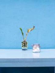 Rebirth of the Urban