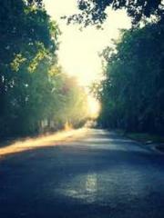 lt;Marry at first si