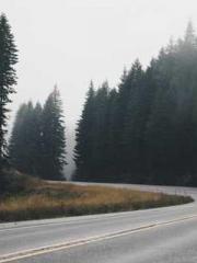 Meng Jinyu Gu Jingxi Meng Jinyu Gu Jingxi