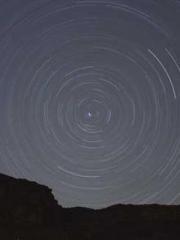 The Stand-in Wife Wa