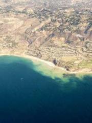 King of All Forms King of All Forms