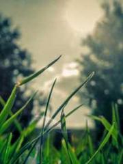 Leyaoapos;s Despot: Leyaoapos;s Despot: