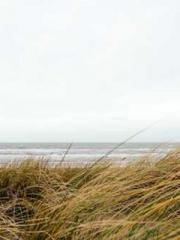 Ning Yuan Rong Zhao Ning Yuan Rong Zhao