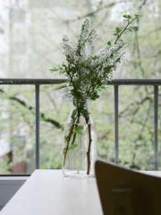 lt;lt; The Divine Do