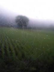 Awakening of the Mas