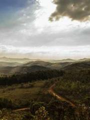 Two Treasures Arrive