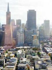 The Rebirth of a Phy The Rebirth of a Phy