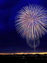 lt;Marry at first si