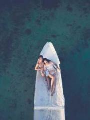 The Apothecaryapos;s