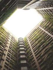 Shocking! This prota