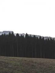 The ambiguous and sw The ambiguous and sw