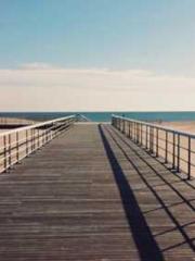 lt;lt;lt;Cultivation