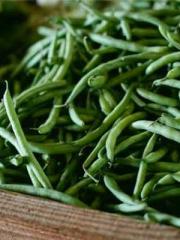 My Sweet Wife: The C