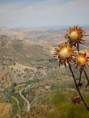 After Becoming His S After Becoming His S