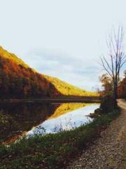 The  Princess  Rebor