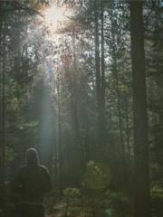 My projections are a My projections are a