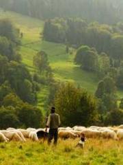 Transmigrated to the Transmigrated to the