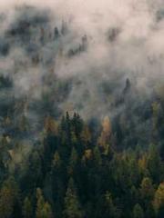 lt;lt;lt;lt;Good-loo