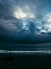 The Best Little Body