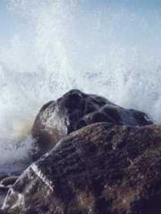 Wine, sex, money and