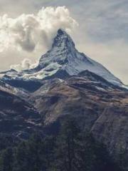 A Lifetime of Captiv A Lifetime of Captiv